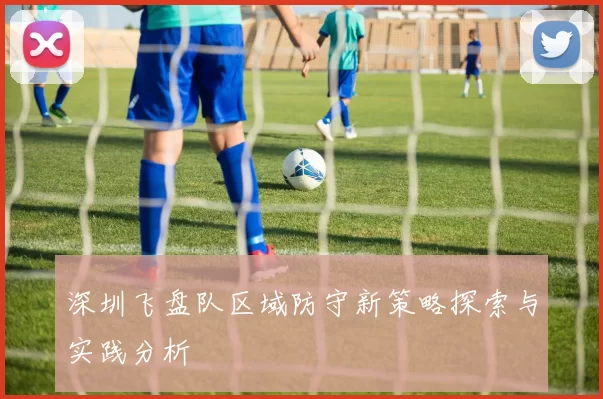 深圳飞盘队区域防守新策略探索与实践分析