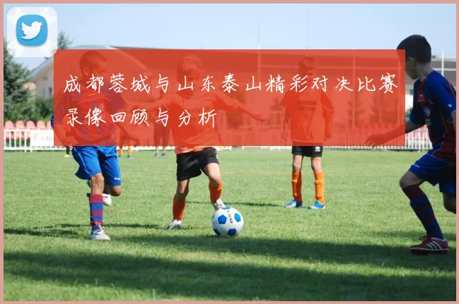 成都蓉城与山东泰山精彩对决比赛录像回顾与分析