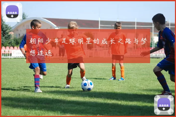 朝阳少年足球明星的成长之路与梦想追逐