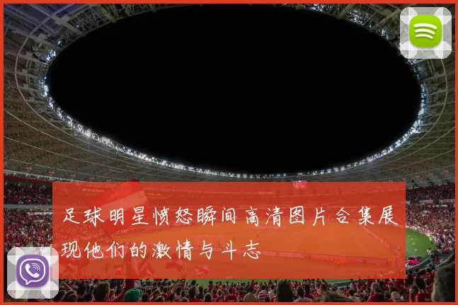 足球明星愤怒瞬间高清图片合集展现他们的激情与斗志