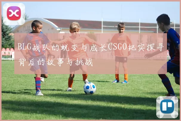 BLG战队的蜕变与成长CSGO纪实探寻背后的故事与挑战