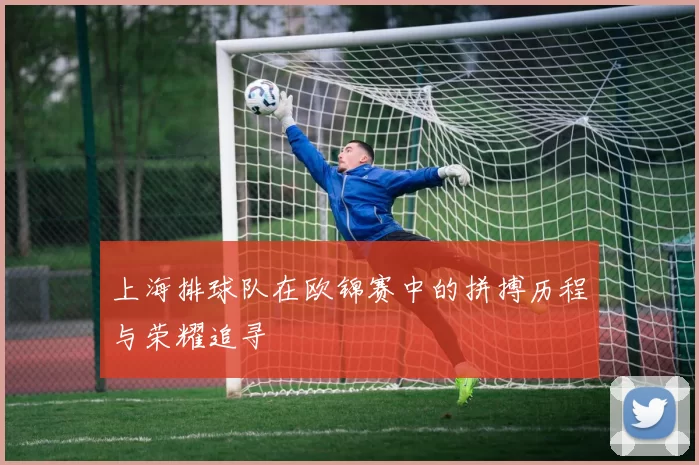 上海排球队在欧锦赛中的拼搏历程与荣耀追寻