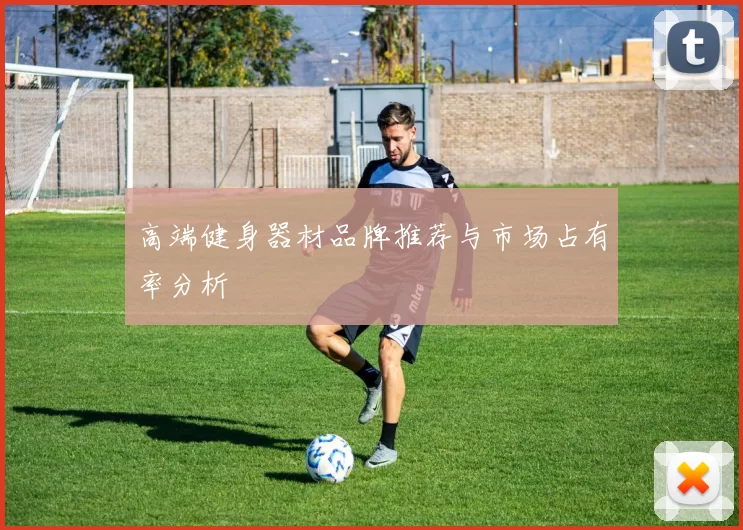 高端健身器材品牌推荐与市场占有率分析