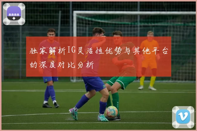 独家解析IG灵活性优势与其他平台的深度对比分析