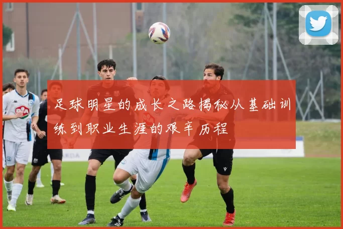 足球明星的成长之路揭秘从基础训练到职业生涯的艰辛历程