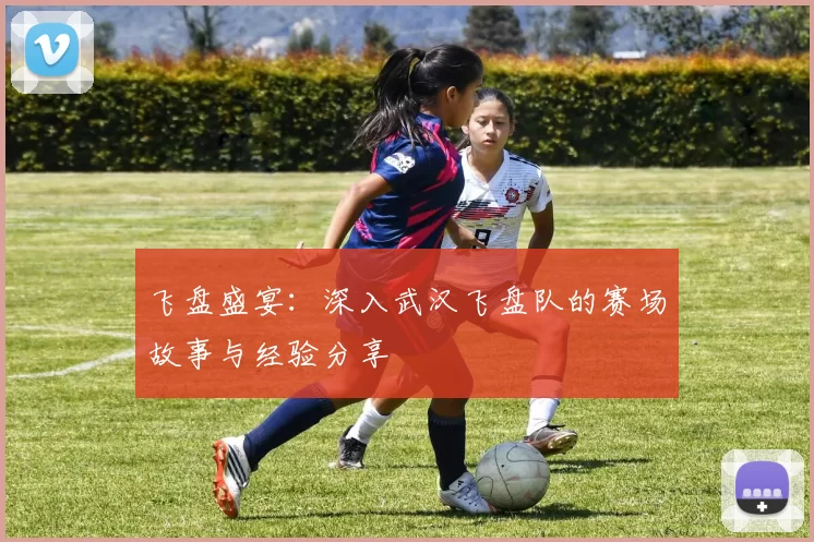 飞盘盛宴：深入武汉飞盘队的赛场故事与经验分享