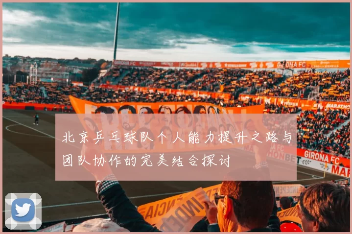 北京乒乓球队个人能力提升之路与团队协作的完美结合探讨