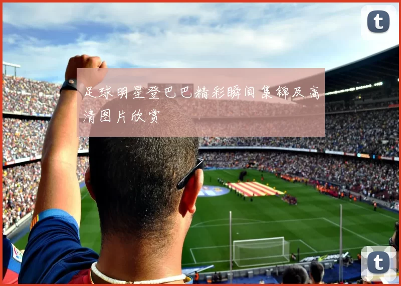 足球明星登巴巴精彩瞬间集锦及高清图片欣赏