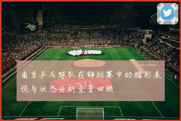 南京乒乓球队在锦标赛中的精彩表现与状态分析全景回顾