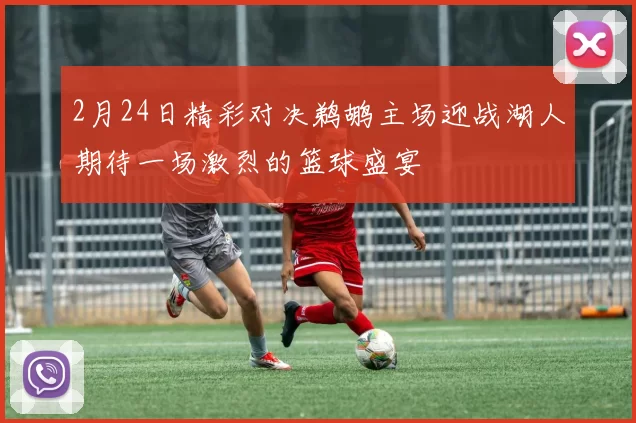 2月24日精彩对决鹈鹕主场迎战湖人期待一场激烈的篮球盛宴